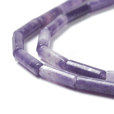 Natural Lepidolite/Purple Mica Stone Beads Strands G-H269-03-1