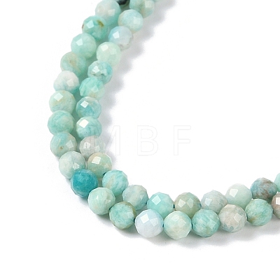 Natural Amazonite Beads Strands G-G139-A15-03-1