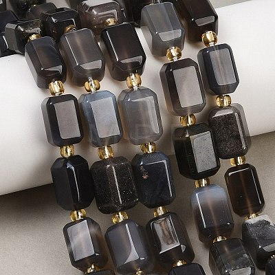 Natural Botswana Agate Beads Strands G-P611-A02-02-1