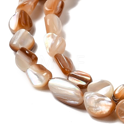 Natural Sea Shell Beads Strands SHEL-K006-16A-1