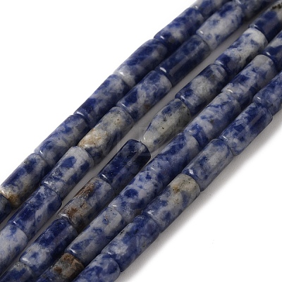 Natural Blue Spot Jasper Beads Strands G-B091-A03-01-1