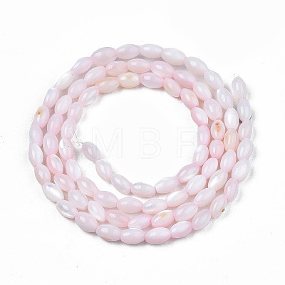 Natural Freshwater Shell Beads Strands X-SHEL-N003-25-B06-1