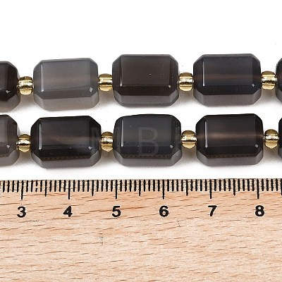 Natural Botswana Agate Beads Strands G-P611-A02-02-1