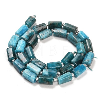 Natural Apatite Beads Strands G-G068-A11-01-1