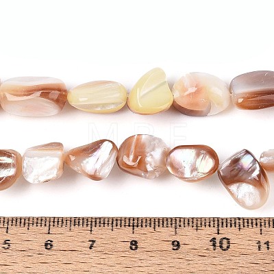 Natural Sea Shell Beads Strands SSHEL-N041-02B-1