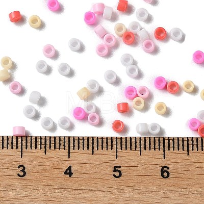 Baking Paint Glass Seed Beads SEED-S042-05A-08-1