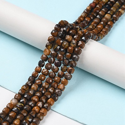 Natural Tiger Eye Beads Strands G-P500-02A-02-1