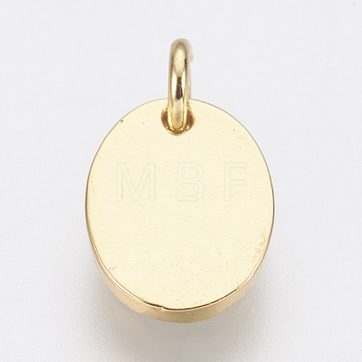 Brass Enamel Charms ZIRC-F083-027G-01-RS-1