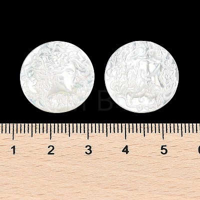 Natural White Shell Carved Cabochons SSHEL-I026-03B-06-1