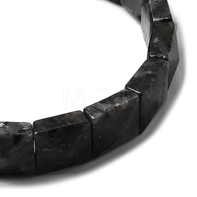 Natural Larvikite Beads Stretch Bracelets for Women Men BJEW-C097-06-06-1