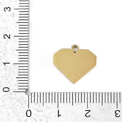 304 Stainless Steel Charms STAS-I325-136E-G-1