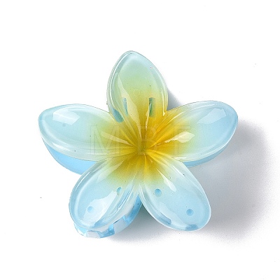 Plastic Claw Hair Clips OHAR-P020-08-1