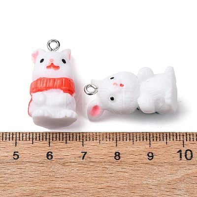 Opaque Resin Pendants FIND-P035-01P-M-1