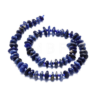 Natural Sodalite Beads Strands G-E569-J22-1