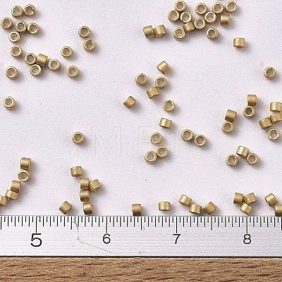 MIYUKI Delica Beads X-SEED-J020-DB1153-1