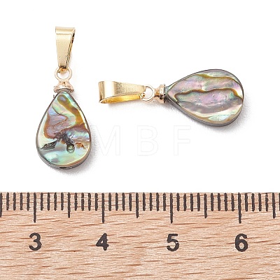 Abalone Shell/Paua Shell Pendants PALLOY-JF05263-1
