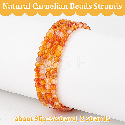 Olycraft 2 Strands Natural Carnelian Beads Strands G-OC0004-99-1