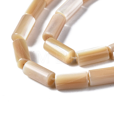 Natural Trochid Shell/Trochus Shell Beads Strands SSHEL-S266-020B-04-1