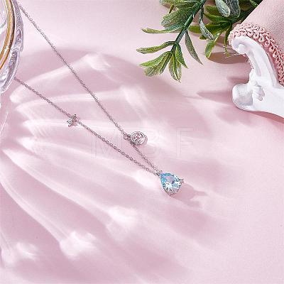 925 Sterling Silver Zircon Pendant Necklace 12 Constellation Pendant Necklace Jewelry Anniversary Birthday Gifts for Women Men JN1088I-1