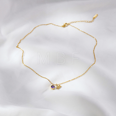 Stainless Steel Pace Purple Cubic Zirconia Birthstone Zodiac Aquarius Pendant Necklaces for Women ZA6688-3-1