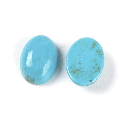 Natural Howlite Cabochons X-TURQ-L030-02-1