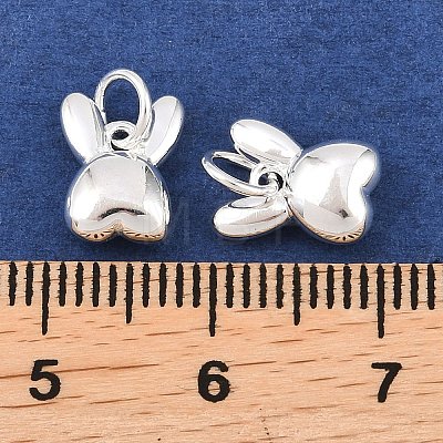 925 Sterling Silver Charms STER-I024-02S-1