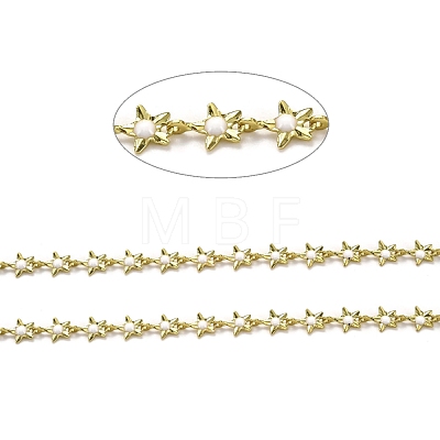 Brass Link Chains CHC-L039-41I-G-1