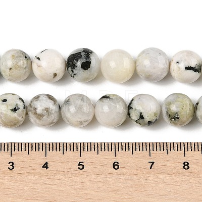 Natural Rainbow Moonstone Beads Strands G-H093-B01-10MM-1