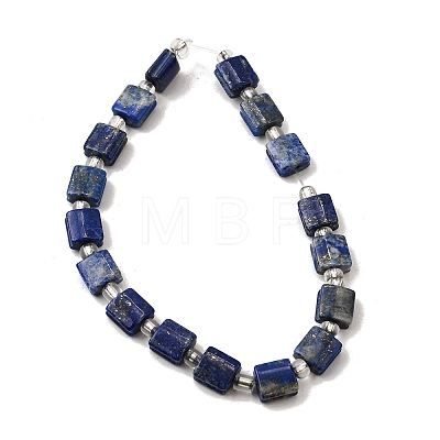 Natural Lapis Lazuli Beads Strands G-Z087-D01-1