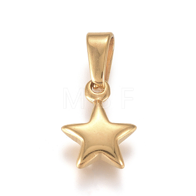 304 Stainless Steel Charms STAS-I127-067G-01-1