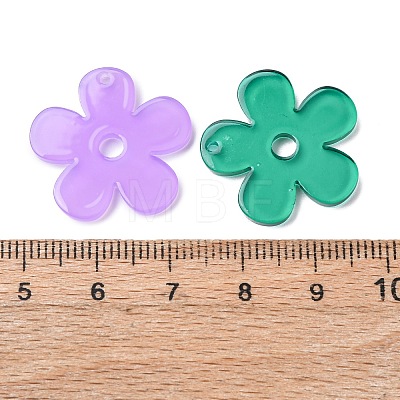 Imitation Jelly Acrylic Pendants OACR-P036-03-1