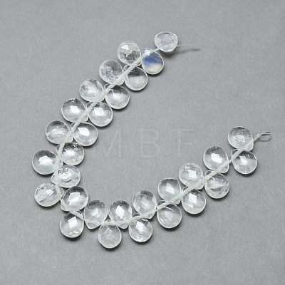 Natural Quartz Crystal Beads Strands G-T006-15-1