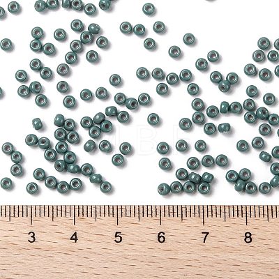 MIYUKI Round Rocailles Beads SEED-G008-RR4481-1