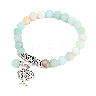 Natural Amazonite Stretch Bracelets BJEW-F262-A09-1