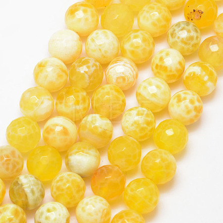 Natural Fire Crackle Agate Bead Strands X-G-K166-07F-10mm-17-1
