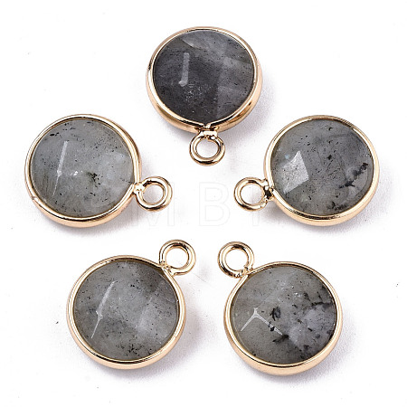Natural Labradorite Pendants G-T131-101A-1