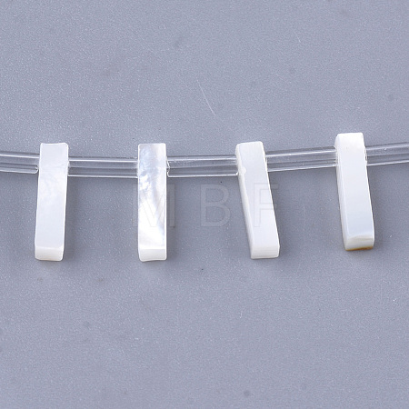 Natural Sea Shell Beads SHEL-T012-60I-1