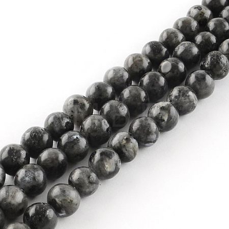 Natural Larvikite Round Beads Strands G-R342-8mm-09-1