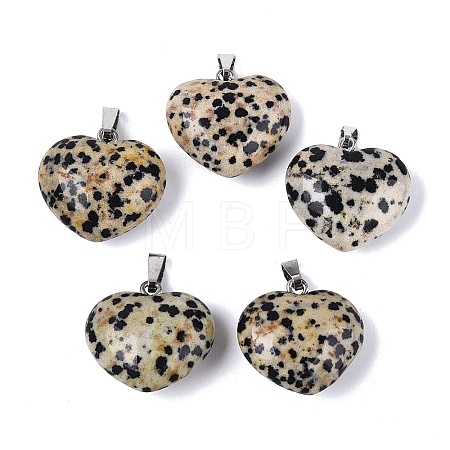 Natural Dalmatian Jasper Pendants G-N362-05P-09-1