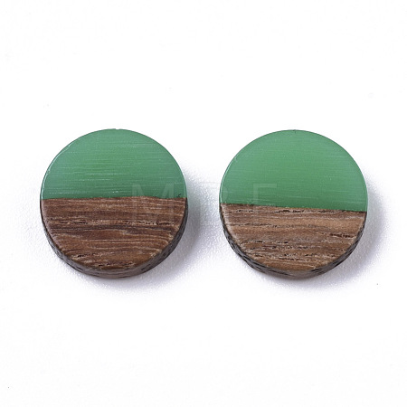 Resin & Wood Cabochons X-RESI-S358-70-H15-1