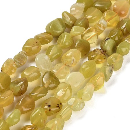 Natural Yellow Opal Beads Strands G-P497-01E-02A-1