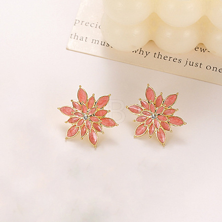 Alloy Enamel Stud Earrings WG34768-03-1