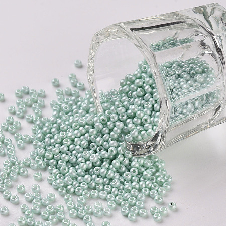 11/0 FGB Grade A Baking Paint Glass Seed Beads X-SEED-N001-A-1031-1