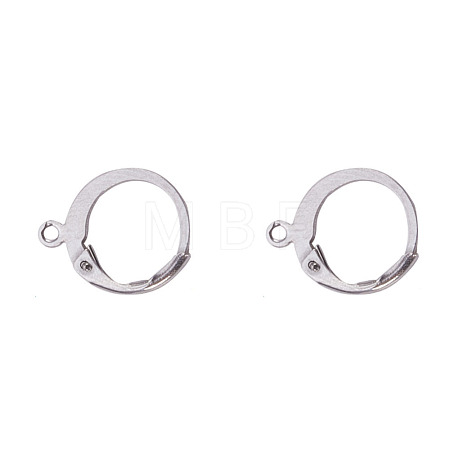Tarnish Resistant 304 Stainless Steel Leverback Earring Findings STAS-I045-02-1
