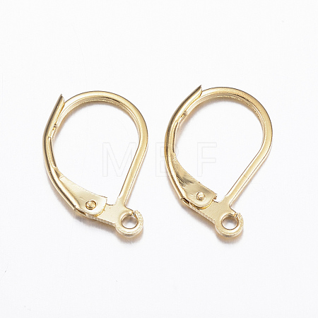 304 Stainless Steel Leverback Earring Findings STAS-E147-53G-1