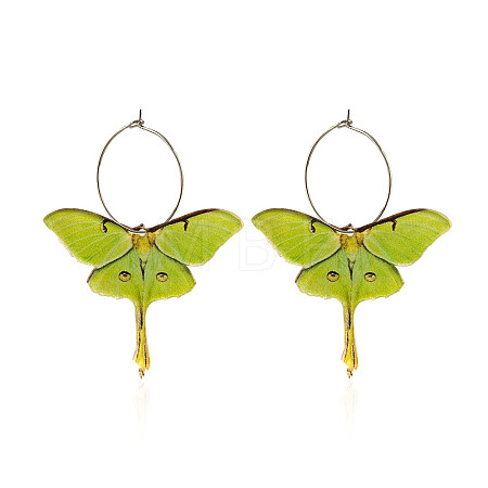 Butterfly Alloy Acrylic Hoop Earrings FS-WG09DCE-01-1