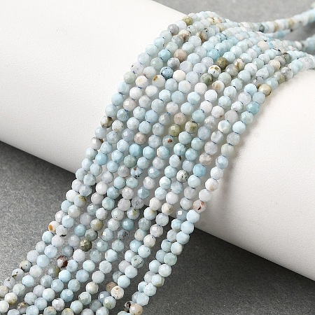 Natural Larimar Beads Strands G-G259-D13-2mm-1