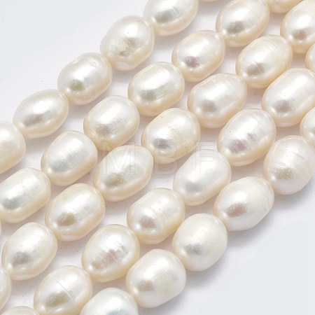 Natural Cultured Freshwater Pearl Beads Strands PEAR-K003-24A-1