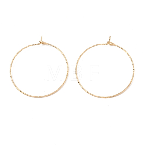 Ion Plating(IP) 316 Surgical Stainless Steel Hoop Earrings Findings STAS-D183-02G-03-1