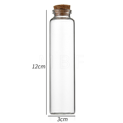 Glass Bottle CON-WH0085-71H-1